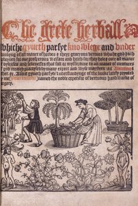 Tittelside som illustrerer en hagescene med figurer, 1529 av English School