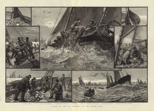 Sliter av havet tråler på Doggerbanken