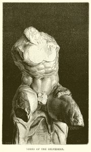 Torso av Belvedere av English School