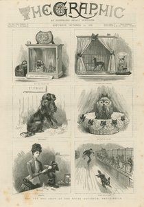 Spielzeughundeschau im Royal Aquarium von English School