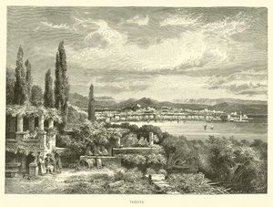 Trieste av English School