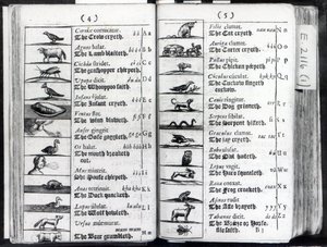 To sider fra Orbis Sensual Pictus av Comenius, 1659 av English School