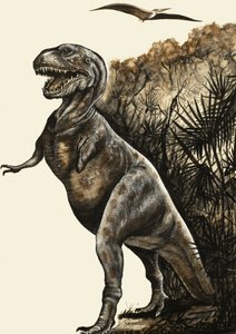 Tyrannosaurus Rex av English School