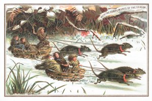 Igel beim Schlittenrennen, Weihnachtskarte von English School