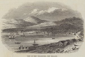 Utsikt over Port Wellington, New Zealand (gravering) av English School