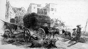 Vogner med Esparto Grass, Almeria, Spania, fra 