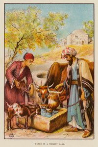 Vann i et tørst land (farge litho) av English School