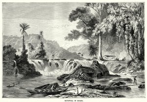Foss i Guyana (gravering) av English School
