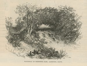 Foss i Tichborne Park av English School