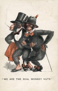 Vi er de ekte Monkey Nuts (farge litho) av English School