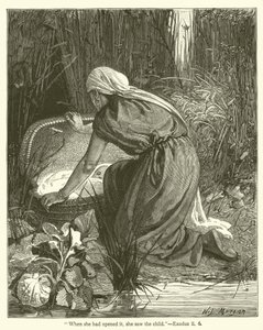 "Da hun hadde åpnet den, så hun barnet", Exodus, ii, 6 (gravering) av English School