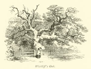Wickliffs eik av English School