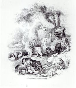 Ville dyr fra "A History of the Earth and Animated Nature" av Oliver Goldsmith, London, 1840 av English School