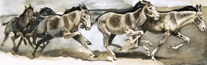 Wildlife in Danger: The Wild Ass av English School
