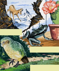 Wildlife montasje av English School