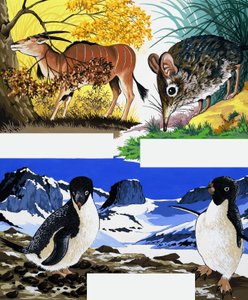 Wildtier-Montage von English School