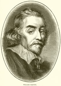 William Harvey av English School