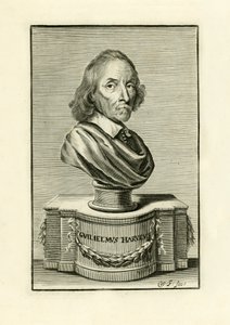 William Harvey av English School