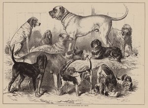 Vinnere på Birmingham Dog Show (gravering) av English School