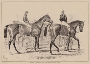 Vinnere av Middle Park Plate og Caesarewitch Stakes (gravering) av English School