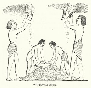 Winnowing Corn (gravering) av English School
