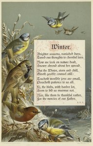 Winter von English School