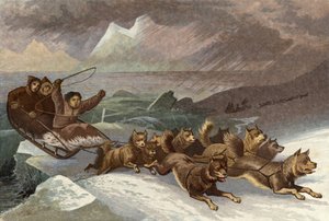 Wonderful Escape on the Breaking up of the Ice av English School