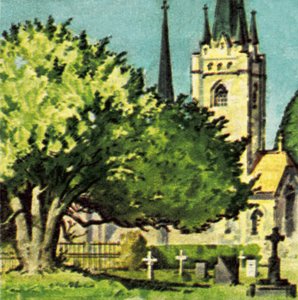 Barlind i en kirkegård av English School