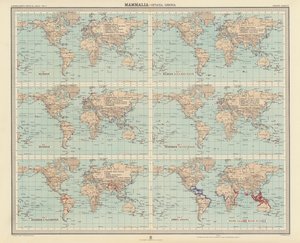 Zoogeografi: Pattedyr, hvaler, sirenia (fargelitografi) av English School