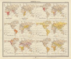 Zoogeografi: Mammalia, Ungulata (fargelitografi) av English School
