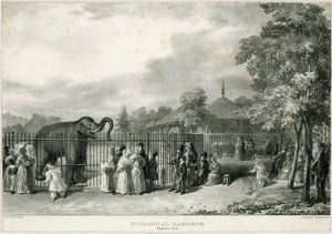 Zoologiske hager, Regents Park av English School