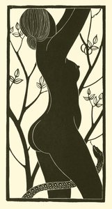 Eva (stein)