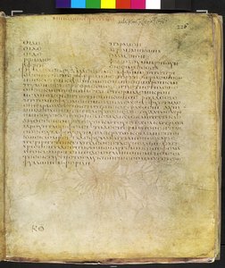 Helside: tekst for gulhornet valmue av Erich Lessing