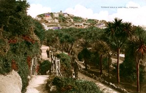 Terrace Walk and Vane Hill, Torquay, Devon, tidlig på 1900-tallet. av Ern Bishop