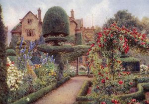 Delphiniums in the Herbaceous Border ved Levens Hall (farge litho)