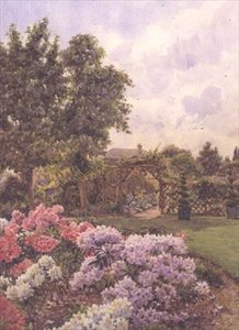 Rhododendron