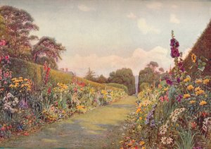 The Long Border, Holme Lacy, 1903.