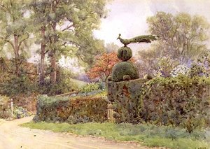 The Old Yew Hedge, Speldhurst, Kent (akvarell)