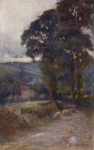 The Shadowed Roadway