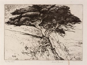 Viftetreet av Ernest Haskell