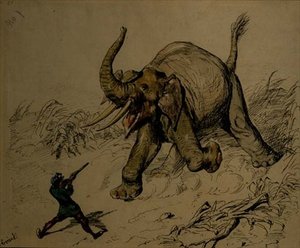 Elephant Shoot (penn og blekk, akvarell på papir) av Ernest Henry Griset