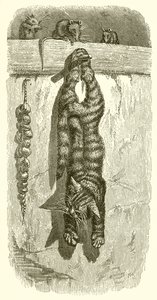 Katten og musene