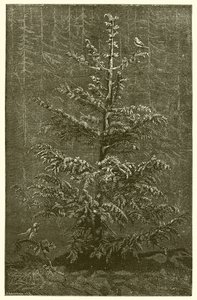Gran-treet og Bramble av Ernest Henry Griset