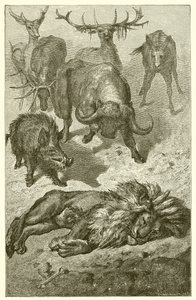 Den gamle løven