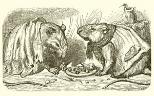 Bymusen og landet