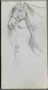 Skissebok, side 55: Study for a Horse