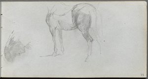 Skissebok, side 73: Studie av en hest, profil