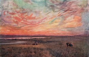 The Campo (farge litho)