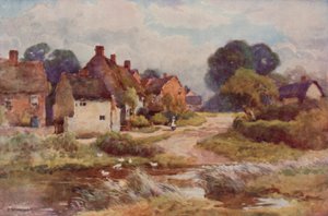 "Beggarly Broom" (farge litho) av Ernest William Haslehust