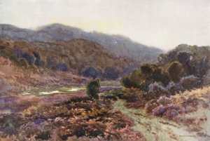 Av Broomy Water (farge litho) av Ernest William Haslehust